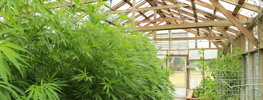 Security Solutions for Apartments in Charleston,  SC